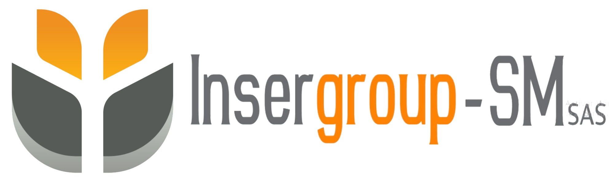 Insergroup sm Grupo integral de servicios